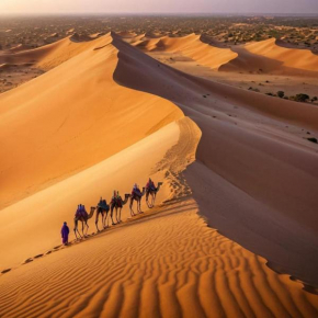 Desert Villa Camp&Resort